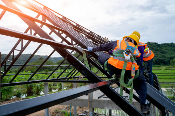 Best Metal Roofing Contractor  in Taylor Creek, OH