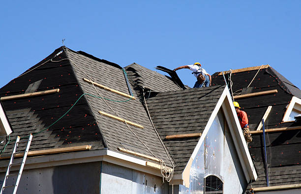 Best Gutter Installation and Roofing  in Taylor Creek, OH