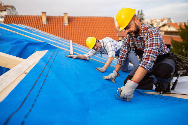 Best Roof Restoration Services  in Taylor Creek, OH